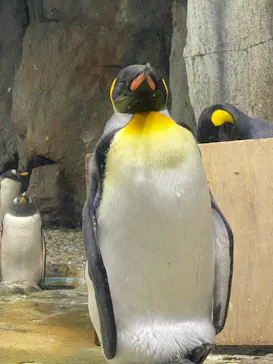 仙台うみの杜水族館に投稿された画像（2021/8/23）