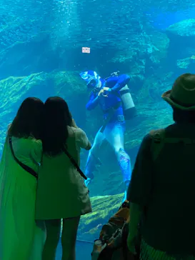 仙台うみの杜水族館に投稿された画像（2021/8/23）