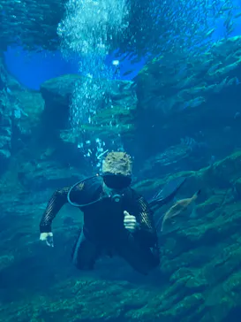 仙台うみの杜水族館に投稿された画像（2021/8/23）