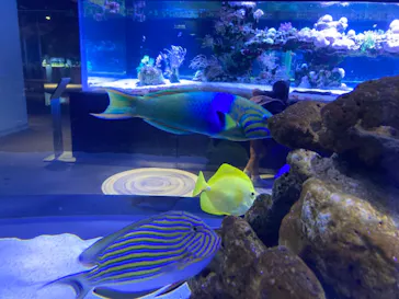 すみだ水族館に投稿された画像（2021/8/23）