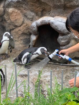 サンシャイン水族館に投稿された画像（2021/8/23）