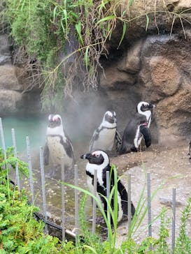 サンシャイン水族館に投稿された画像（2021/8/23）
