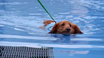 わんダフルネイチャーヴィレッジに投稿された画像（2021/8/23）