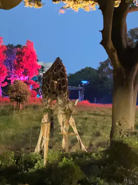 天王寺動物園に投稿された画像（2021/8/23）