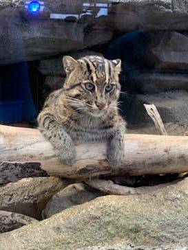 鳥羽水族館に投稿された画像（2021/8/23）