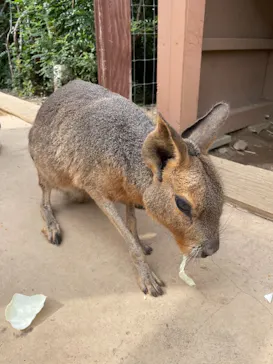 横浜・八景島シーパラダイスに投稿された画像（2021/8/23）