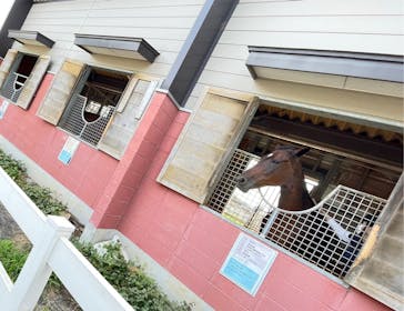 東武動物公園に投稿された画像（2021/8/23）