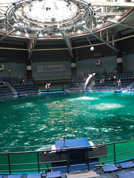 マクセル アクアパーク品川に投稿された画像（2021/8/23）