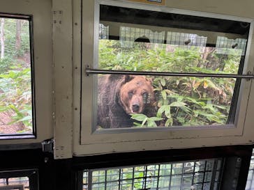 サホロリゾート　ベア･マウンテンに投稿された画像（2021/8/23）