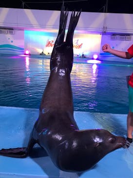 南知多ビーチランド＆南知多おもちゃ王国に投稿された画像（2021/8/23）