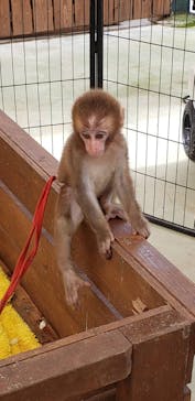 しろとり動物園に投稿された画像（2021/8/23）