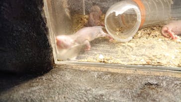 伊豆シャボテン動物公園に投稿された画像（2021/8/23）