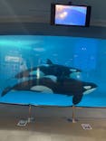 名古屋港水族館に投稿された画像（2021/8/23）