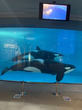 名古屋港水族館に投稿された画像（2021/8/23）