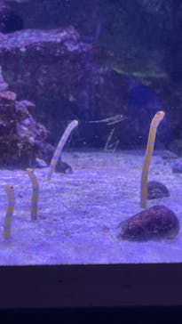 マクセル アクアパーク品川に投稿された画像（2021/8/5）