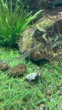 マクセル アクアパーク品川に投稿された画像（2021/8/5）