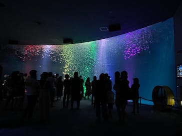 名古屋港水族館に投稿された画像（2021/8/24）