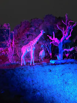 天王寺動物園に投稿された画像（2021/8/24）