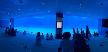 名古屋港水族館に投稿された画像（2021/8/24）