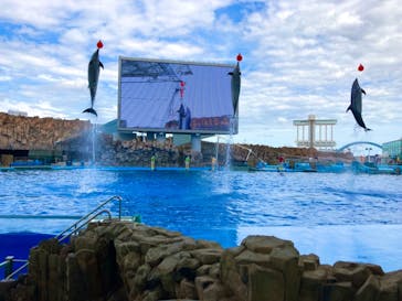 名古屋港水族館に投稿された画像（2021/8/24）