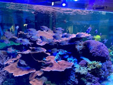 名古屋港水族館に投稿された画像（2021/8/24）