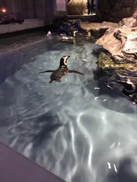 すみだ水族館に投稿された画像（2021/8/24）