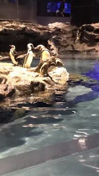 すみだ水族館に投稿された画像（2021/8/24）