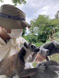 伊豆シャボテン動物公園に投稿された画像（2021/8/24）