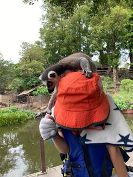 伊豆シャボテン動物公園に投稿された画像（2021/8/24）