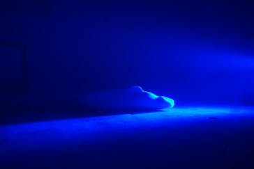 島根県立 しまね海洋館に投稿された画像（2021/8/24）