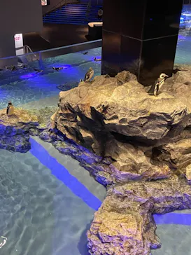 すみだ水族館に投稿された画像（2021/8/24）