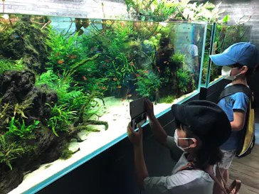 すみだ水族館に投稿された画像（2021/8/24）