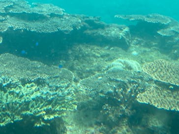 串本海中公園水族館に投稿された画像（2021/8/24）