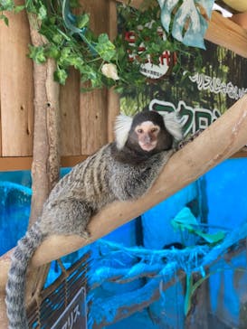 神戸どうぶつ王国に投稿された画像（2021/8/24）