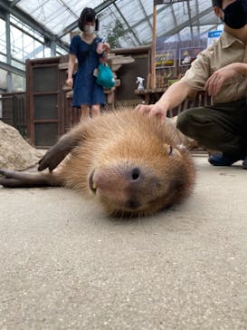 神戸どうぶつ王国に投稿された画像（2021/8/24）