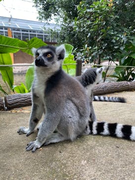 神戸どうぶつ王国に投稿された画像（2021/8/24）