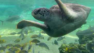 横浜・八景島シーパラダイスに投稿された画像（2021/8/24）