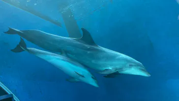 横浜・八景島シーパラダイスに投稿された画像（2021/8/24）