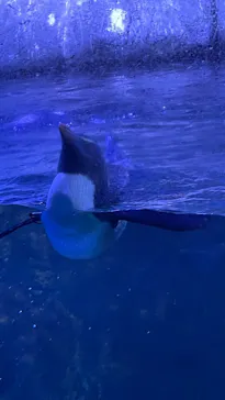 横浜・八景島シーパラダイスに投稿された画像（2021/8/24）