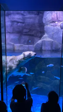 横浜・八景島シーパラダイスに投稿された画像（2021/8/24）