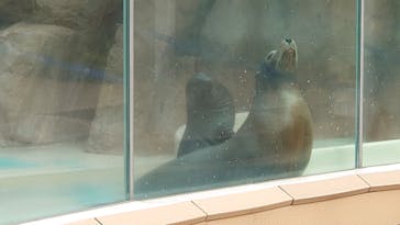 サンシャイン水族館に投稿された画像（2021/8/24）