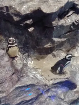 すみだ水族館に投稿された画像（2021/8/24）