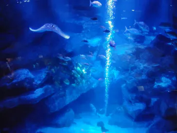 すみだ水族館に投稿された画像（2021/8/24）
