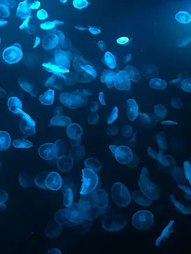 すみだ水族館に投稿された画像（2021/8/24）