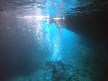 武藤潜水に投稿された画像（2021/8/24）