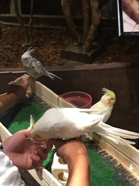 Moff animal world MARK IS みなとみらい店に投稿された画像（2021/8/24）