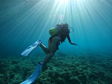 diving&workshop IHANASHI（ダイビングアンドワークショップイハナシ）に投稿された画像（2021/8/24）