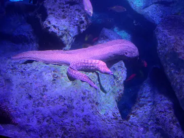 すみだ水族館に投稿された画像（2021/8/24）