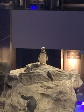 すみだ水族館に投稿された画像（2021/8/24）