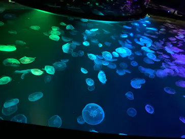 すみだ水族館に投稿された画像（2021/8/24）